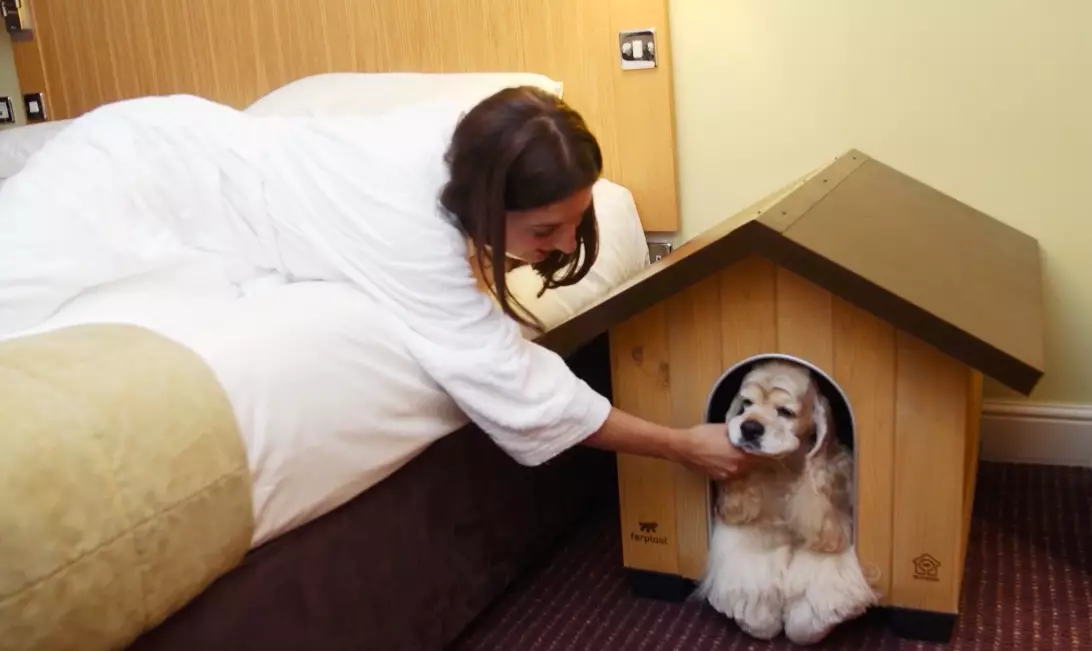 Dogs get their own handmade kennel (