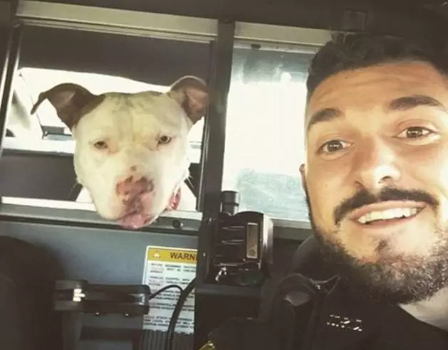 Policeman Poses For Selfies With Lost Dogs To Help Them Get Home