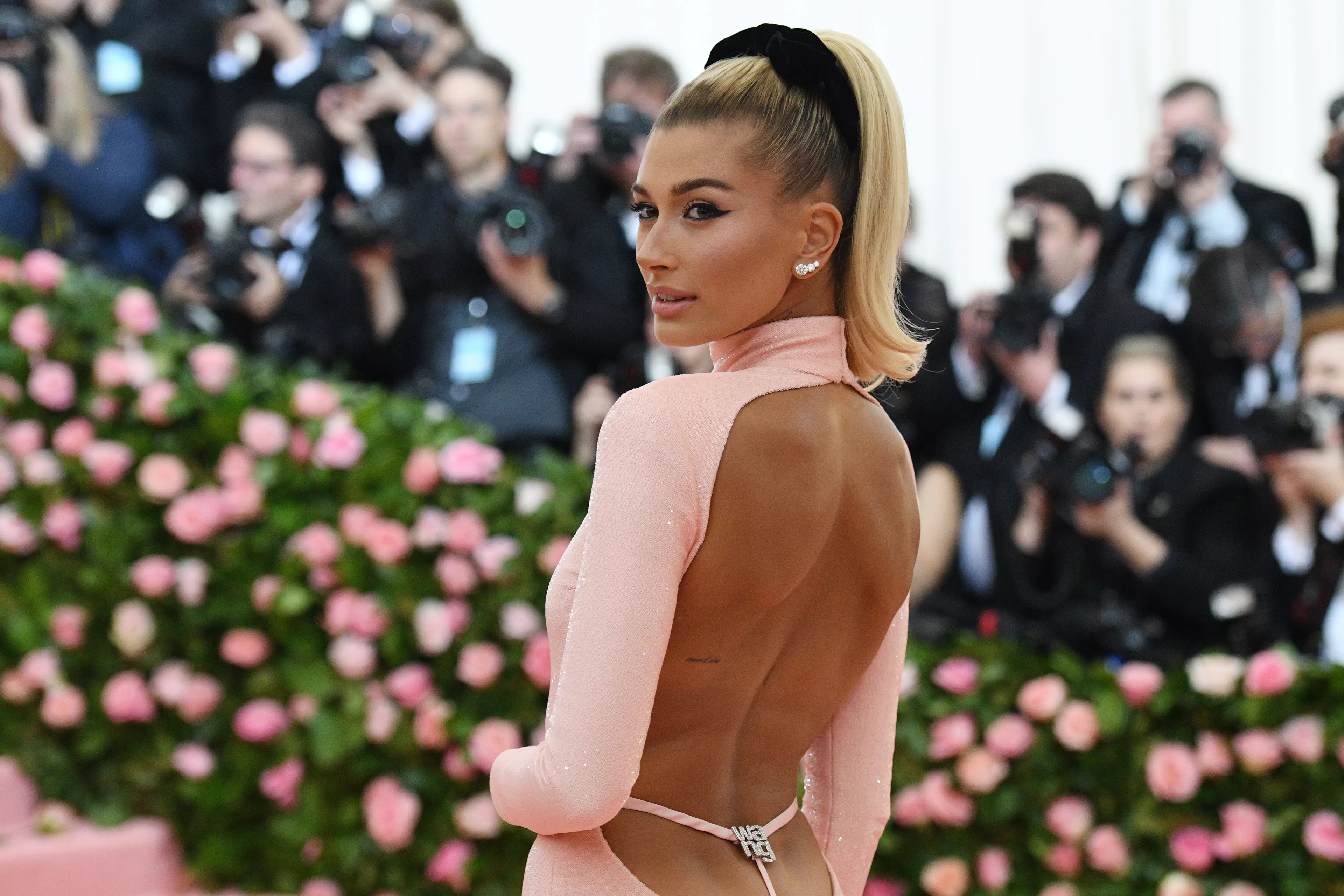 Hailey Bieber walked the red carpet at the 2019 Met Gala in a dress by Alexander Wang (