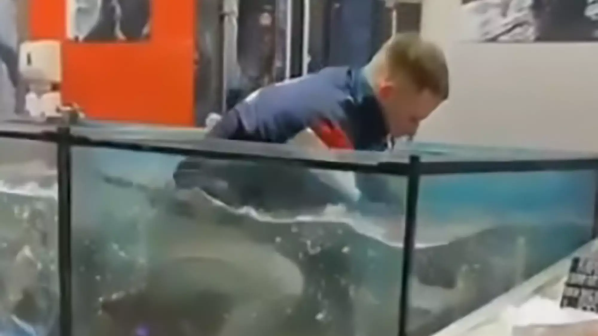 Man Retrieves Ring From Aquarium After Girlfriend Says No