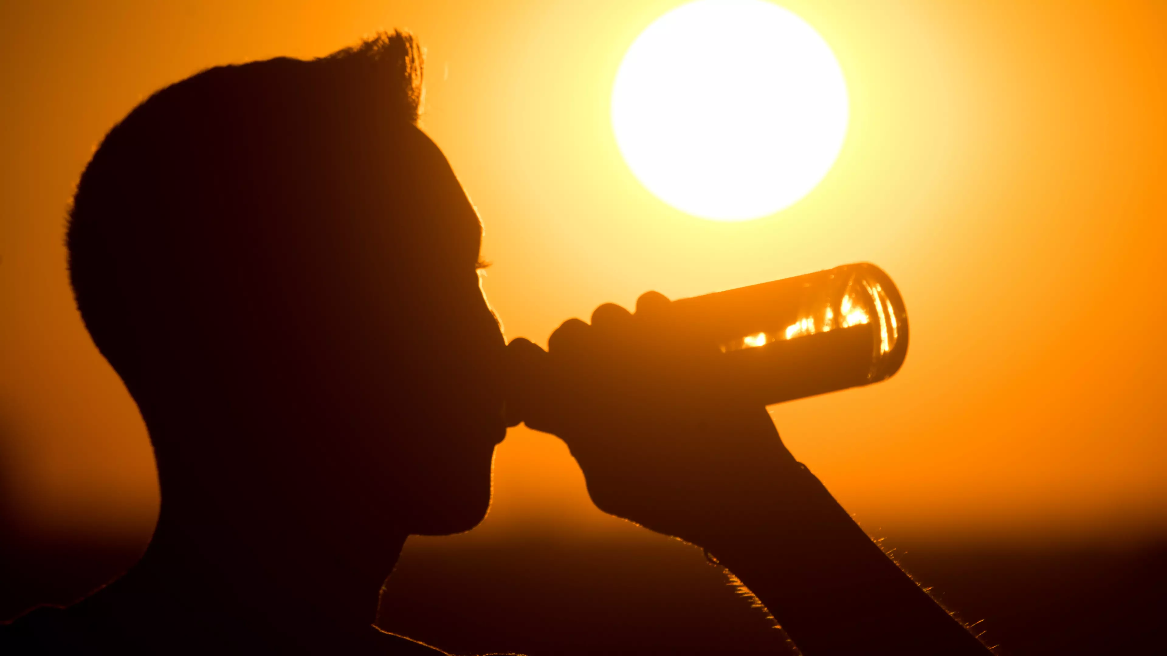 The Heaviest Drinkers In Australia Consume More Than Half The Alcohol In The Country