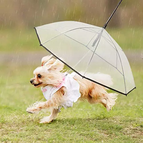 dog leash umbrella 