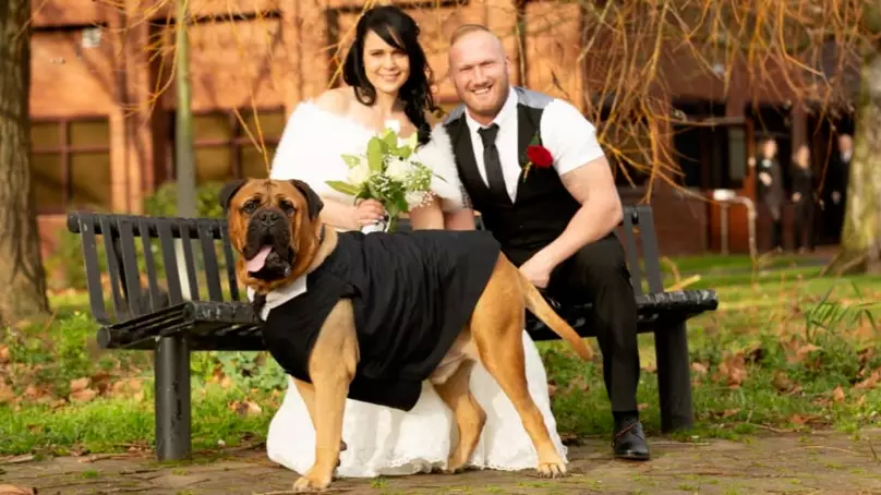 Couple Move Wedding Forward So Dog Can Attend After Cancer Diagnosis