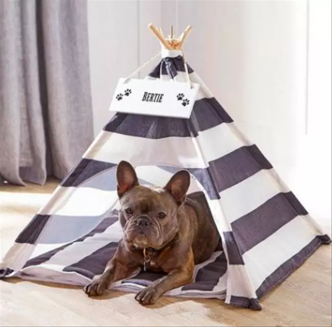 This teepee makes the boujiest bed for your dog (