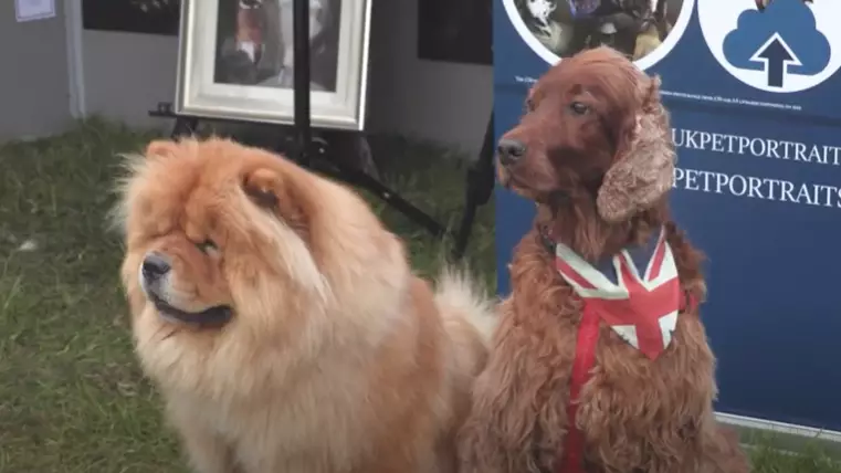 A Huge Dog Festival Is Coming To The UK This September