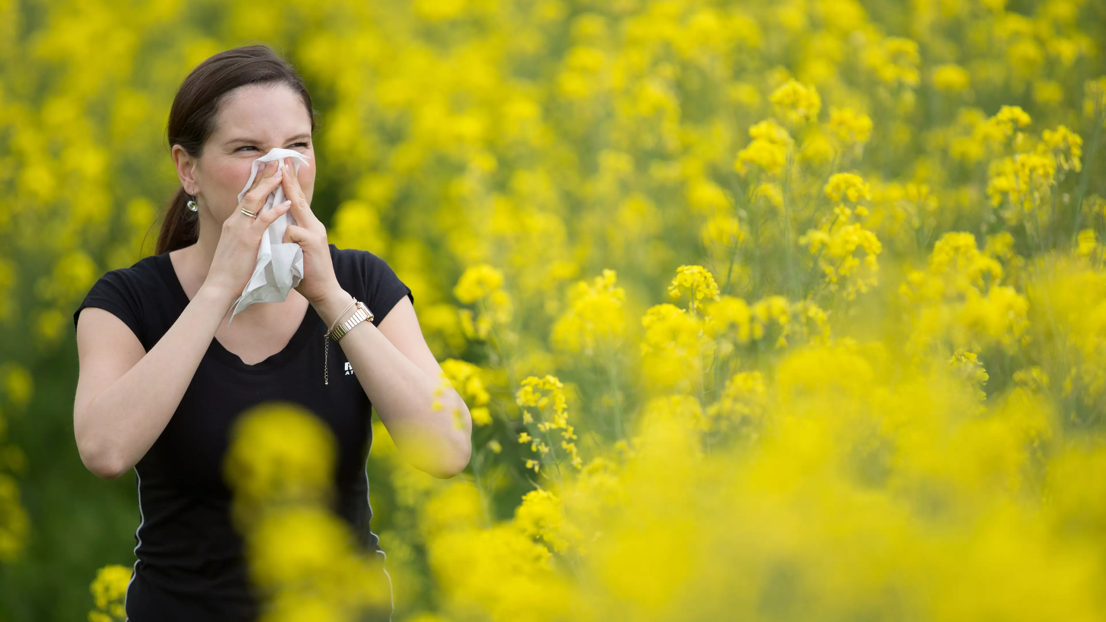 Hay Fever Warning As High Pollen Count Forecast For Large Areas Of UK