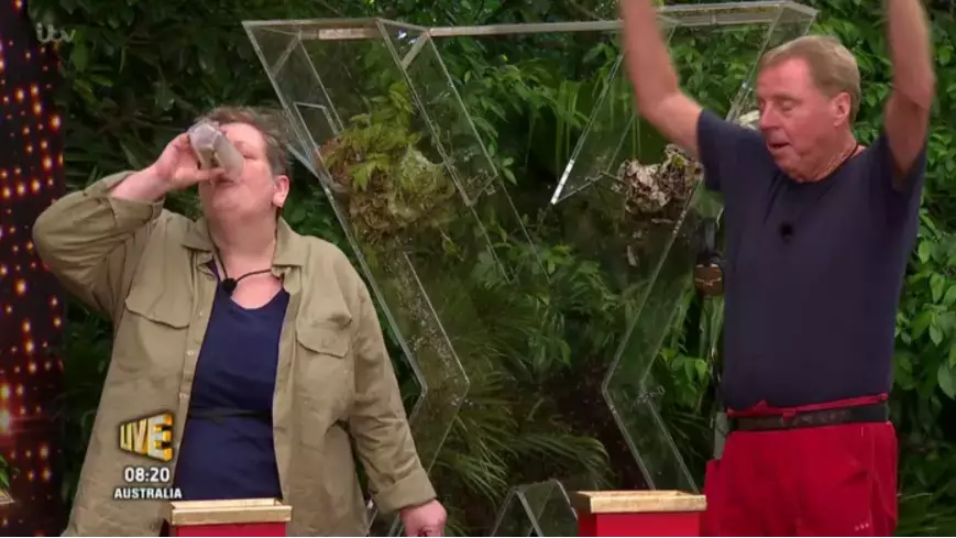 I'm A Celebrity Theme Park Attraction Opening In The UK 