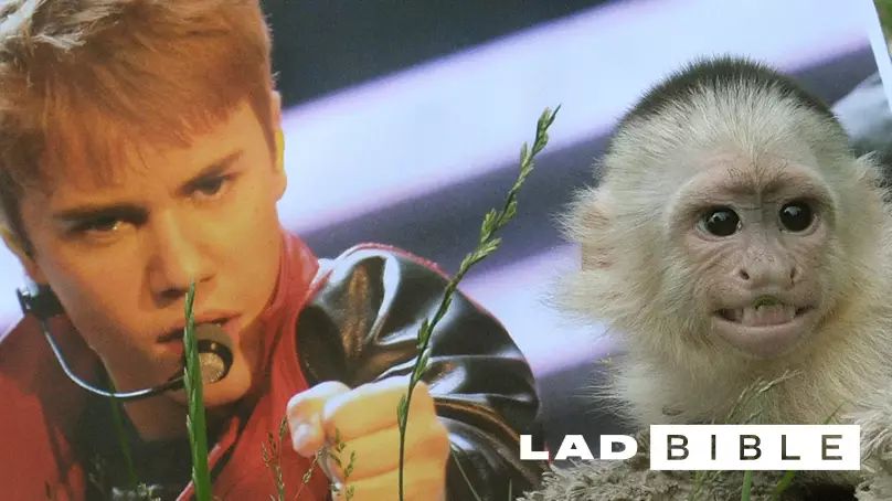 Justin Bieber & His Monkey Mally.