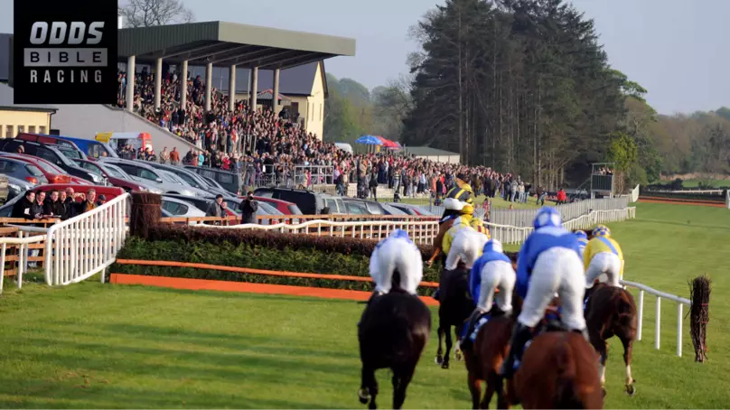 ODDSbibleRacing's Best Bets For Wednesday's Action At Bath, Carlisle And More