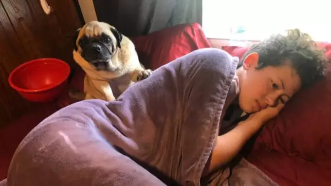 Woman Says Pug Does 'Angry Poos' On Her Favourite Things When He Feels Wronged