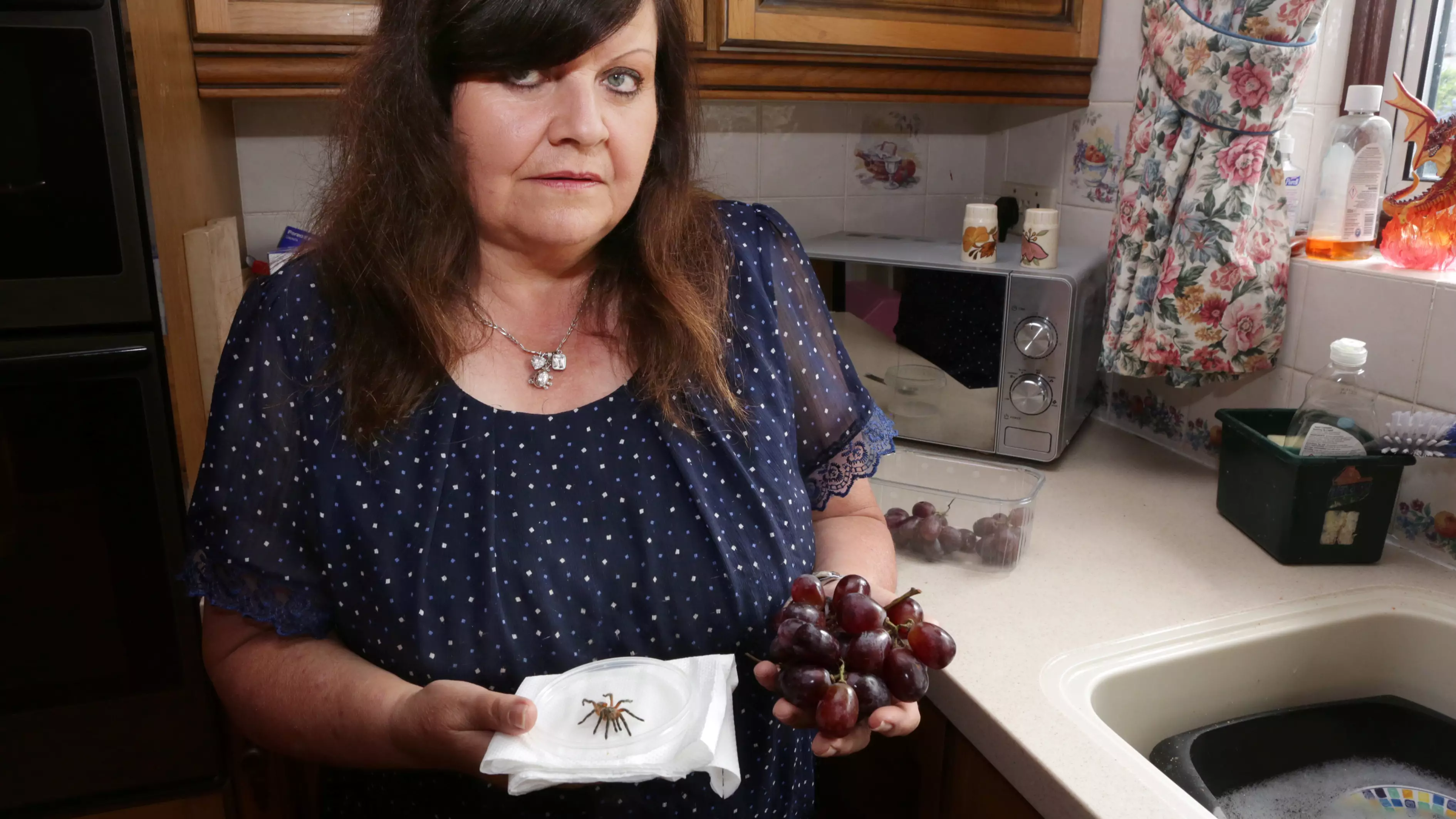 Grandma Finds Tarantula In Carton Of Supermarket Grapes