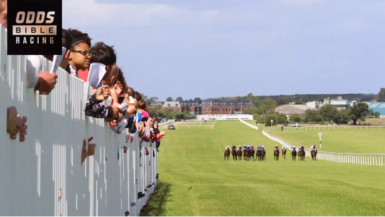 ODDSbibleRacing's Best Bets From Monday's Action At Beverley, Naas And More