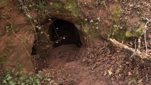 This Unassuming Rabbit Hole Is Actually Hiding A Mysterious Secret