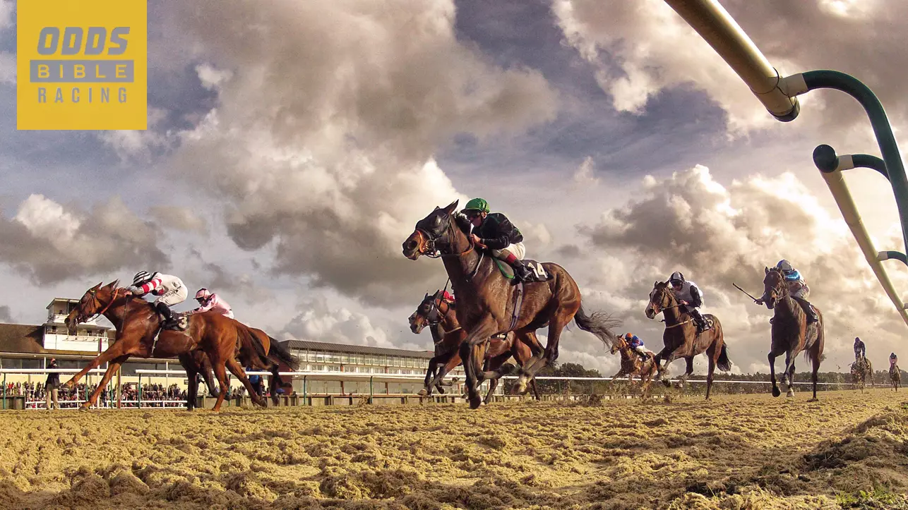 ODDSbibleRacing's Best Bets From Thursday's Action At Chelmsford, Cork, Ludlow and Wolverhampton