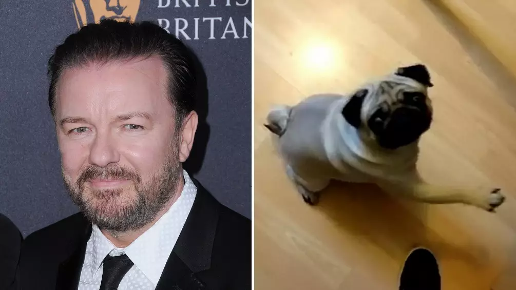 Ricky Gervais Goes Off After Man Found Guilty For Teaching Dog To 'Nazi Salute'