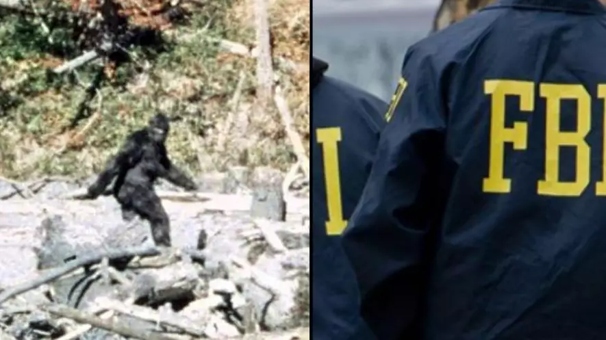 FBI Releases New Information On Bigfoot