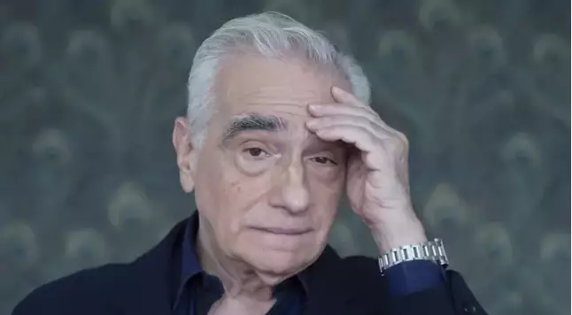 I reckon this is the face Martin Scorsese does when you ask him to watch a Marvel film.