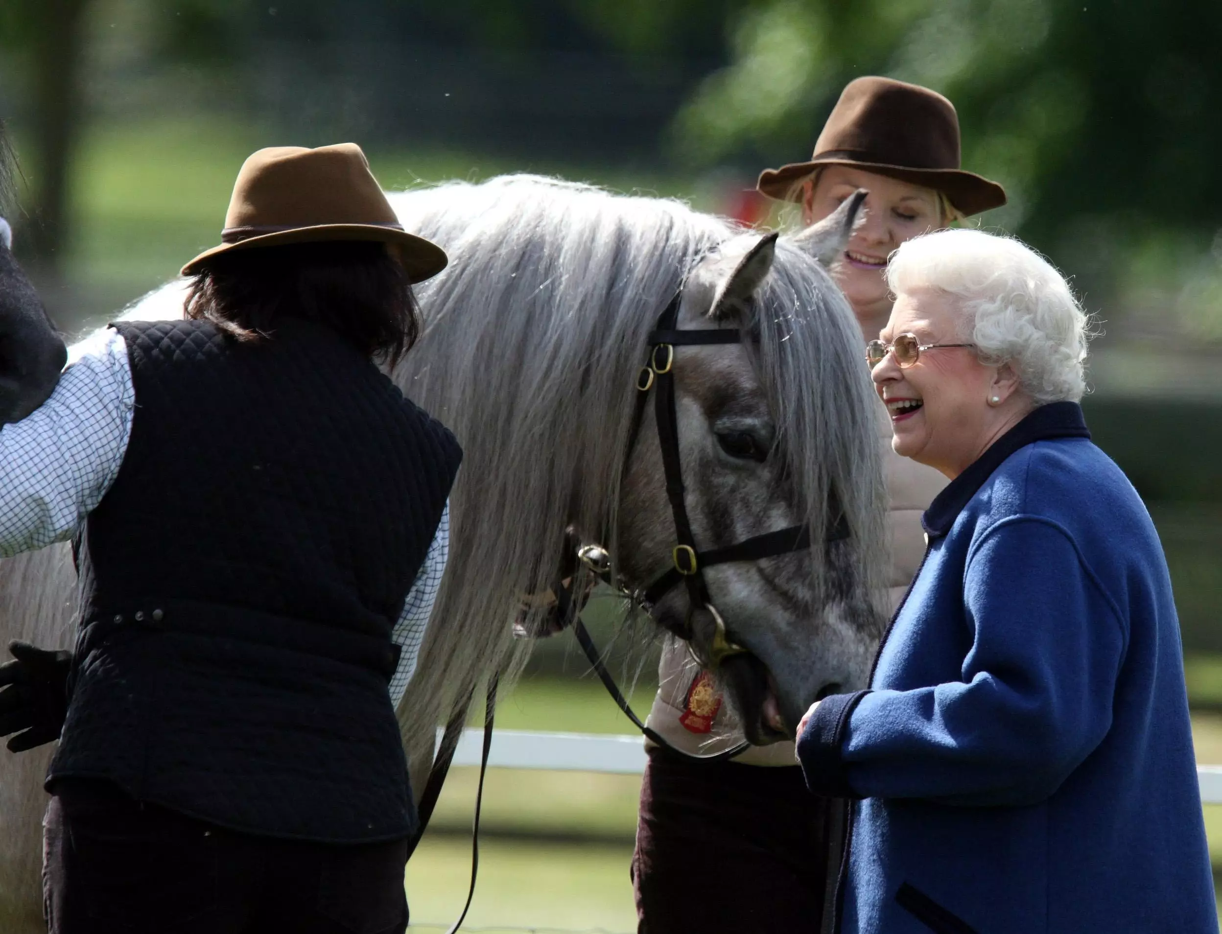 The Queen famously loves her horses and you could help look after them.