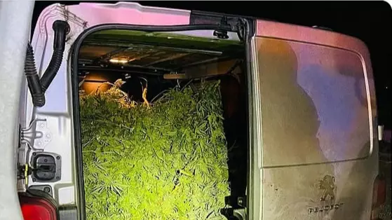 Police Find Estimated £250,000 Worth Of Cannabis On The M1