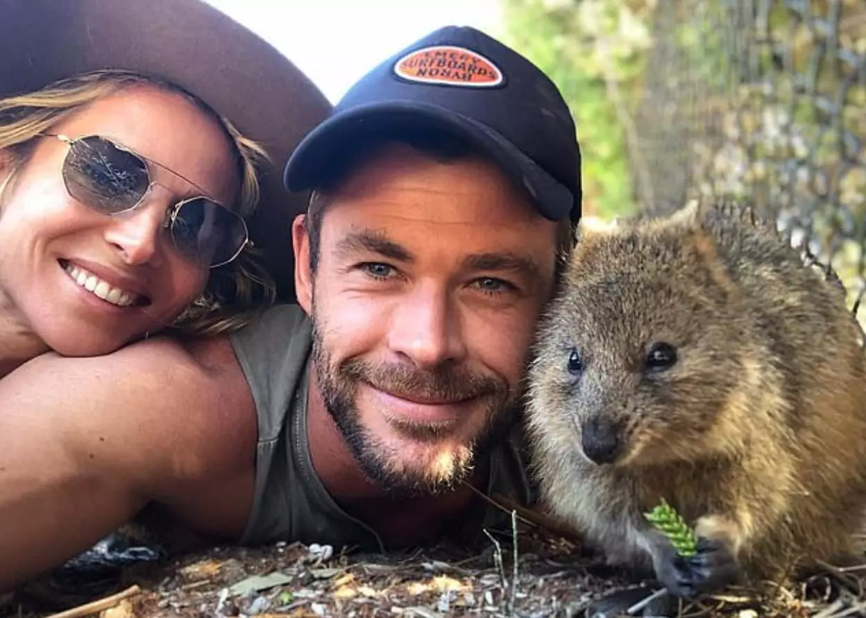 Chris, Elsa Pataky and the quokka playing happy families.