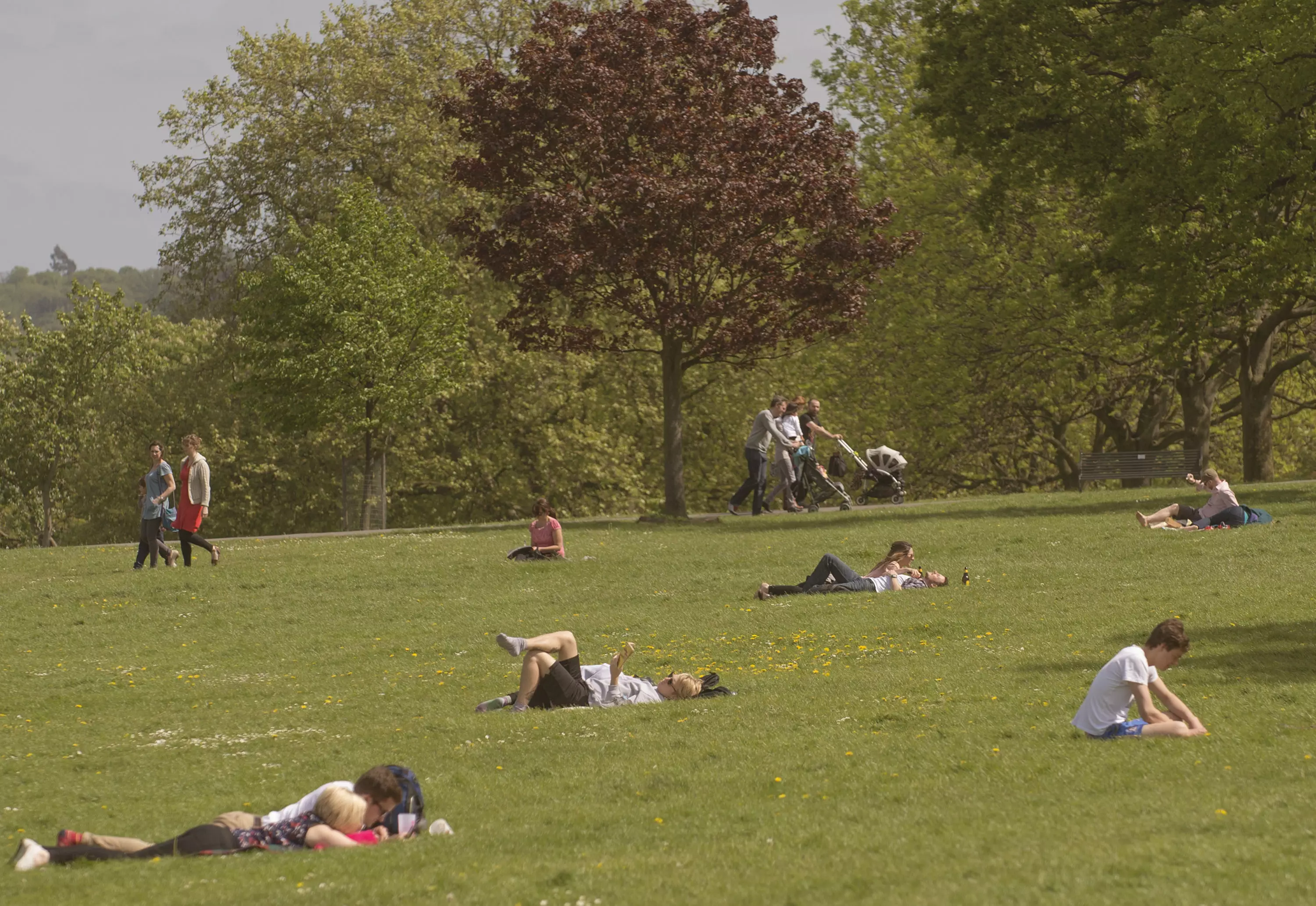 Brockwell Park was closed after 3,000 people visited on Saturday (4 April).