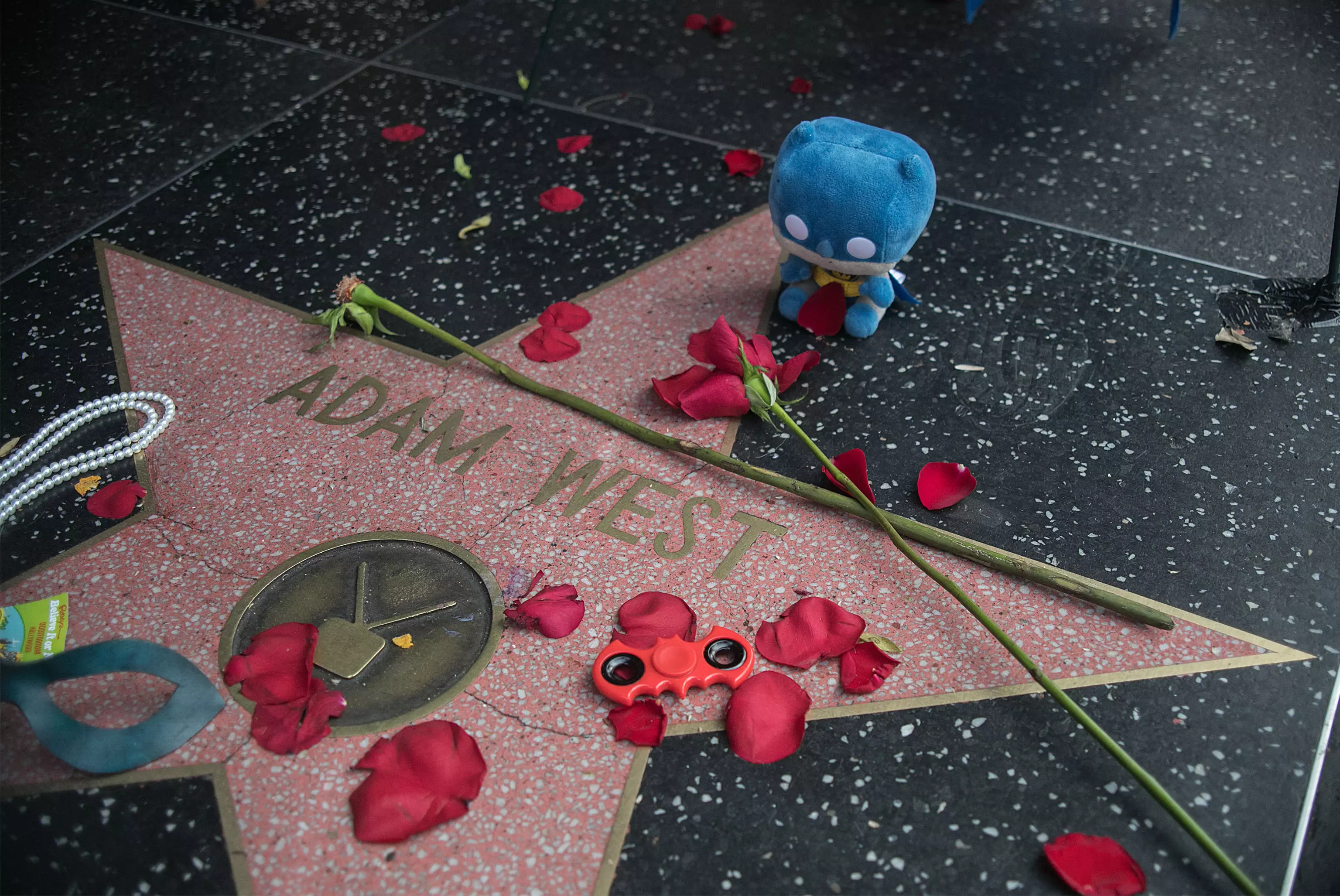 Adam West Hollywood Walk of Fame