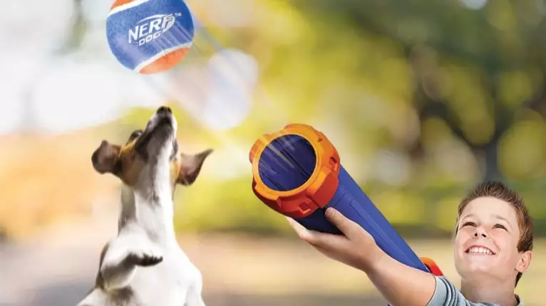 Aldi Is Selling Nerf Guns So You Can Play Fetch With Your Dog