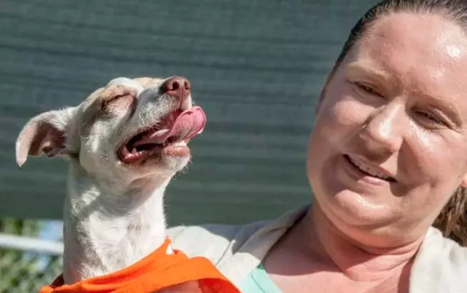Bubba The Meth-Addicted Dog Makes Full Recovery And Is Adopted By Loving Family
