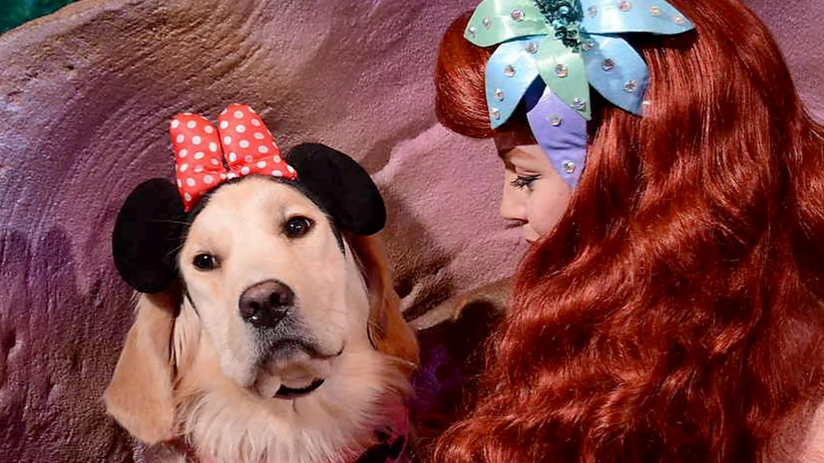 This Adorable Dog Is Disney's Biggest Fan As She Fawns Over Characters