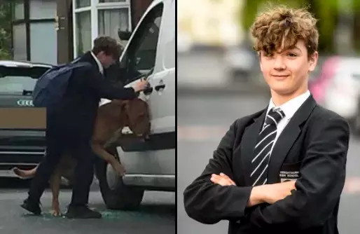 Lad Saves Dog's Life After It Tried To Smash Its Way Out Of A Locked Van