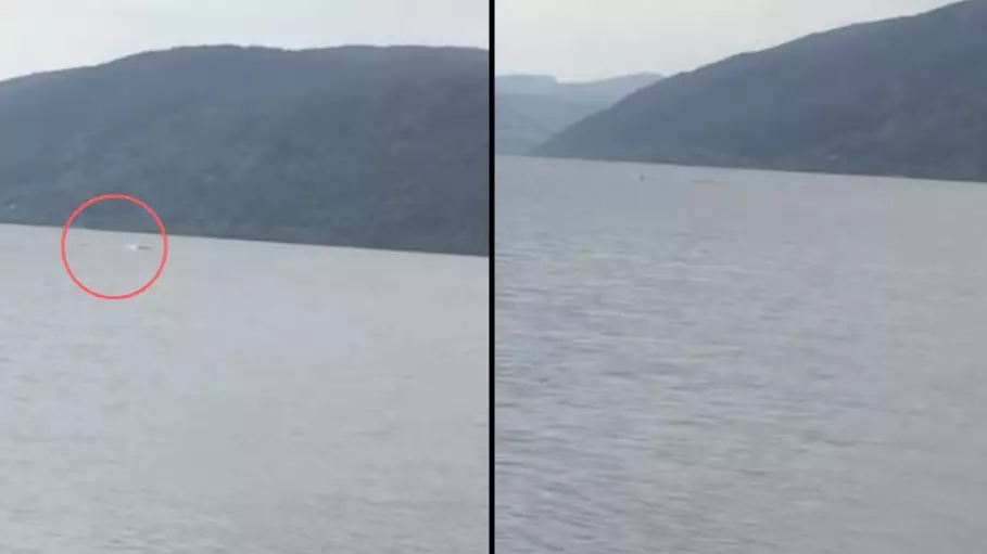 'Strange Looking Something' Filmed Swimming In Loch Ness By Tourist