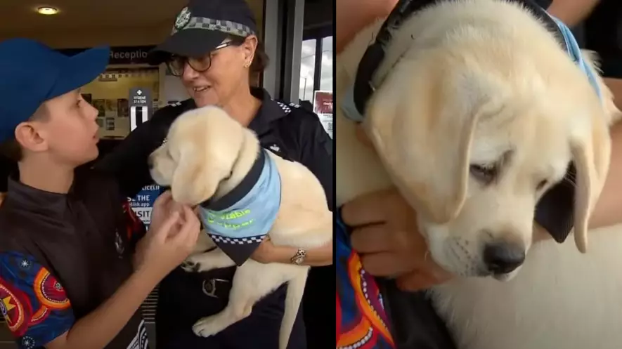 Queensland Police Gift Young Boy A Support Puppy After His Father Was Killed 