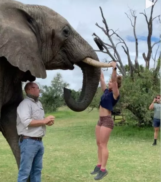 Emma could be seen hanging off the elephant's tusks (