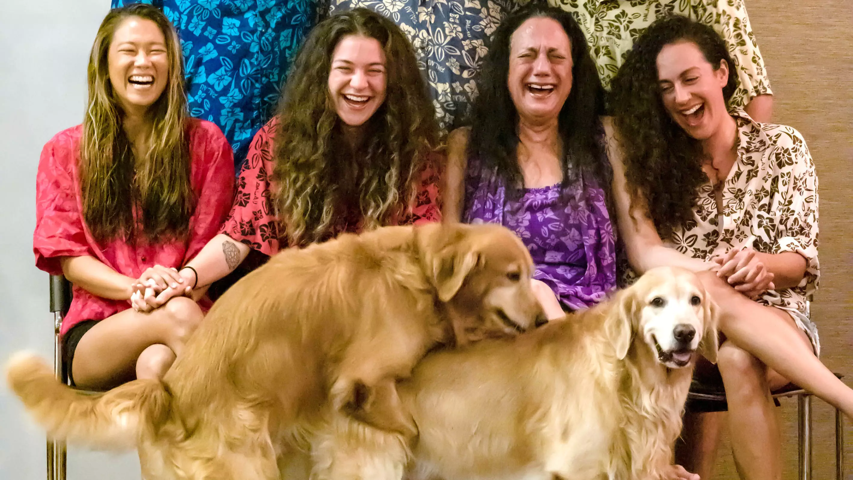 Randy Retrievers Hilariously Ruin Family Portrait In Viral Snap