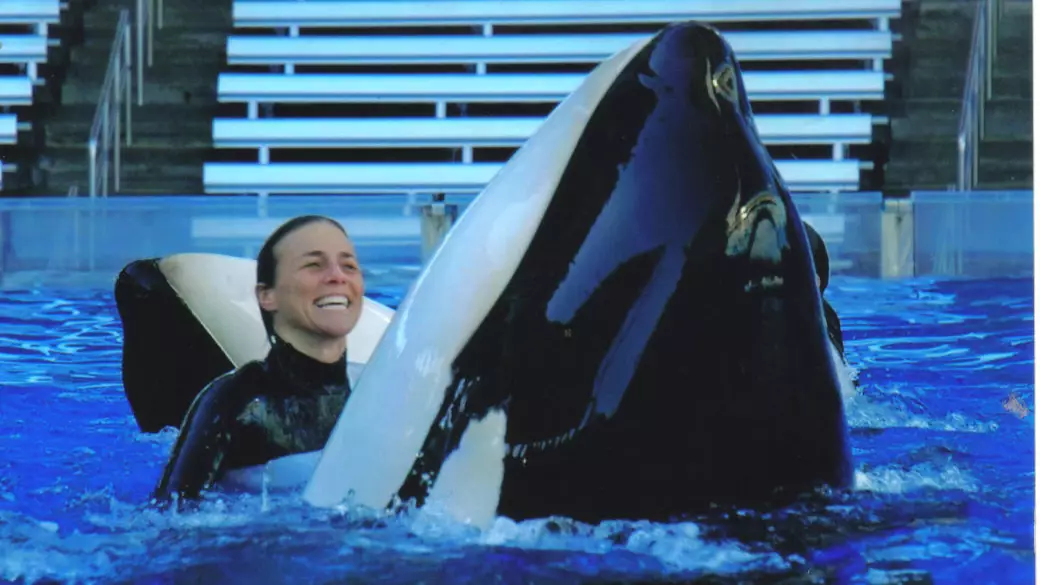 Today Marks 10 Years Since SeaWorld Trainer Dawn Brancheau Was Killed By Tilikum