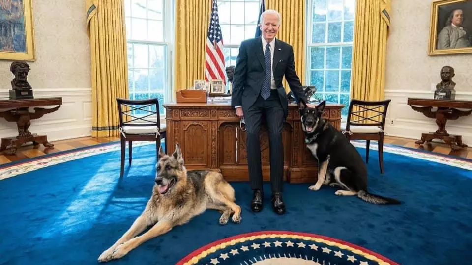 Joe Biden's Dogs Moved Out Of White House Following 'Biting Incident'