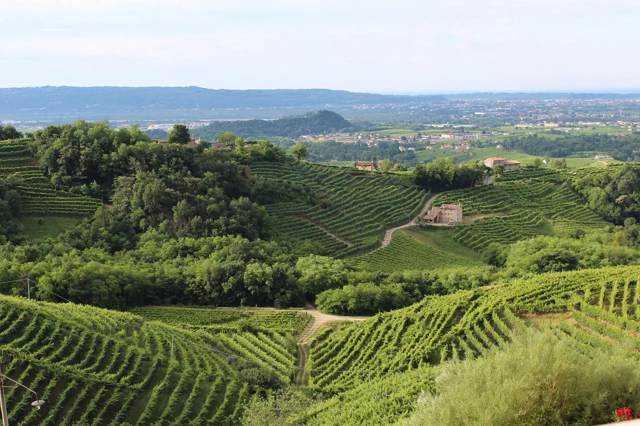 The Prosecco region - confusingly in the north of Italy - is where you'll find the good prosecco (