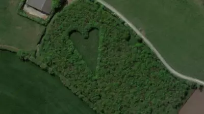 Farmer Planted Thousands Of Trees In Heart-Shaped Tribute To Late Wife 