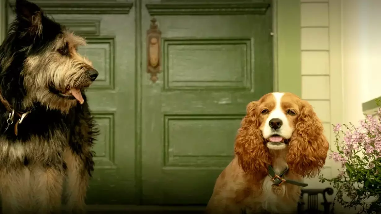 Here's Your First Look At The 'Lady and The Tramp' Live Action Cast 