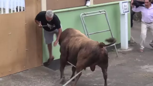 This Is A Decent Reason Why You Should Never Be Near An Angry Bull
