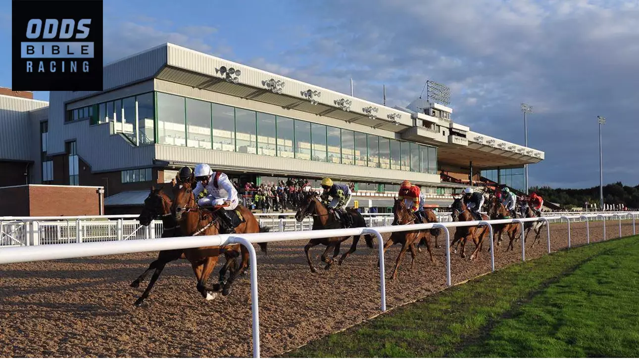 ODDSbibleRacing's Best Bets From Saturday's Action At Haydock, Ripon And More