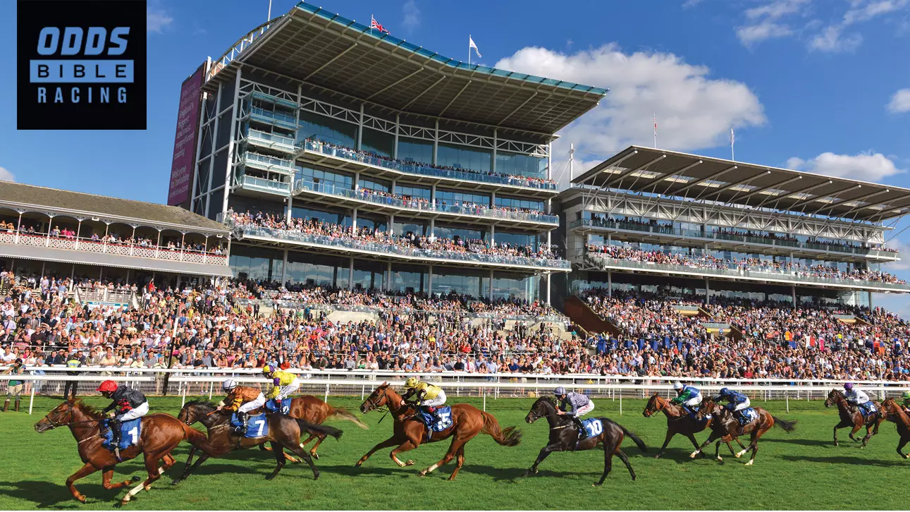 ODDSbible Racing: York Dante Stakes Day Two Betting Preview