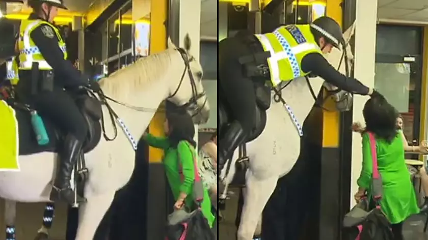 Woman Punches Police Horse Before Officer Grabs Her Hair And Throws Her To The Ground