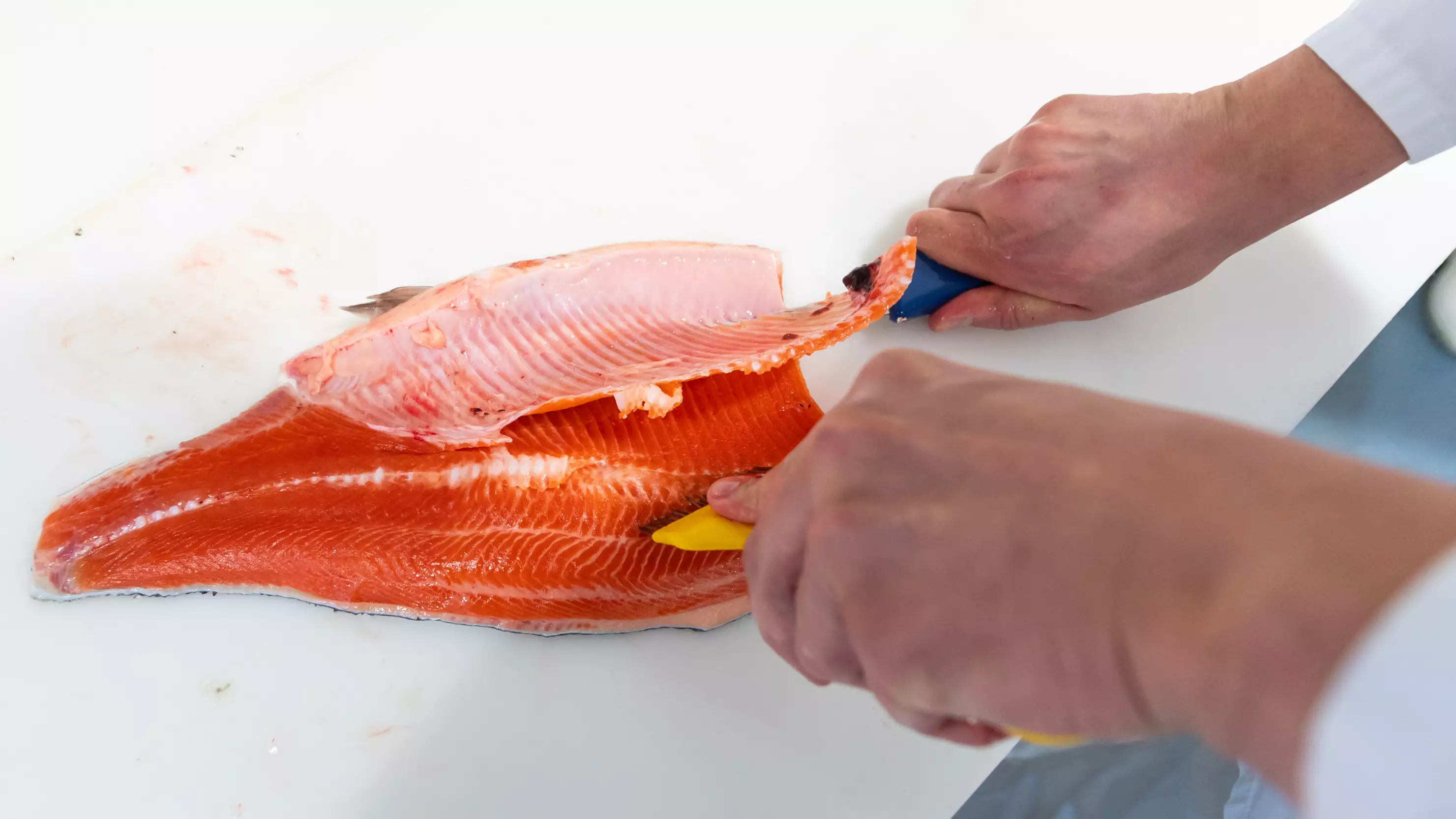 Farmed Salmon Are Fed Chemical To Turn Flesh Pink 