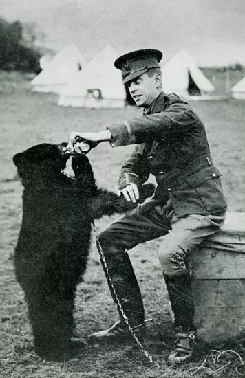 Harry Colebourn who was a vet rescued the bear in 1914. (