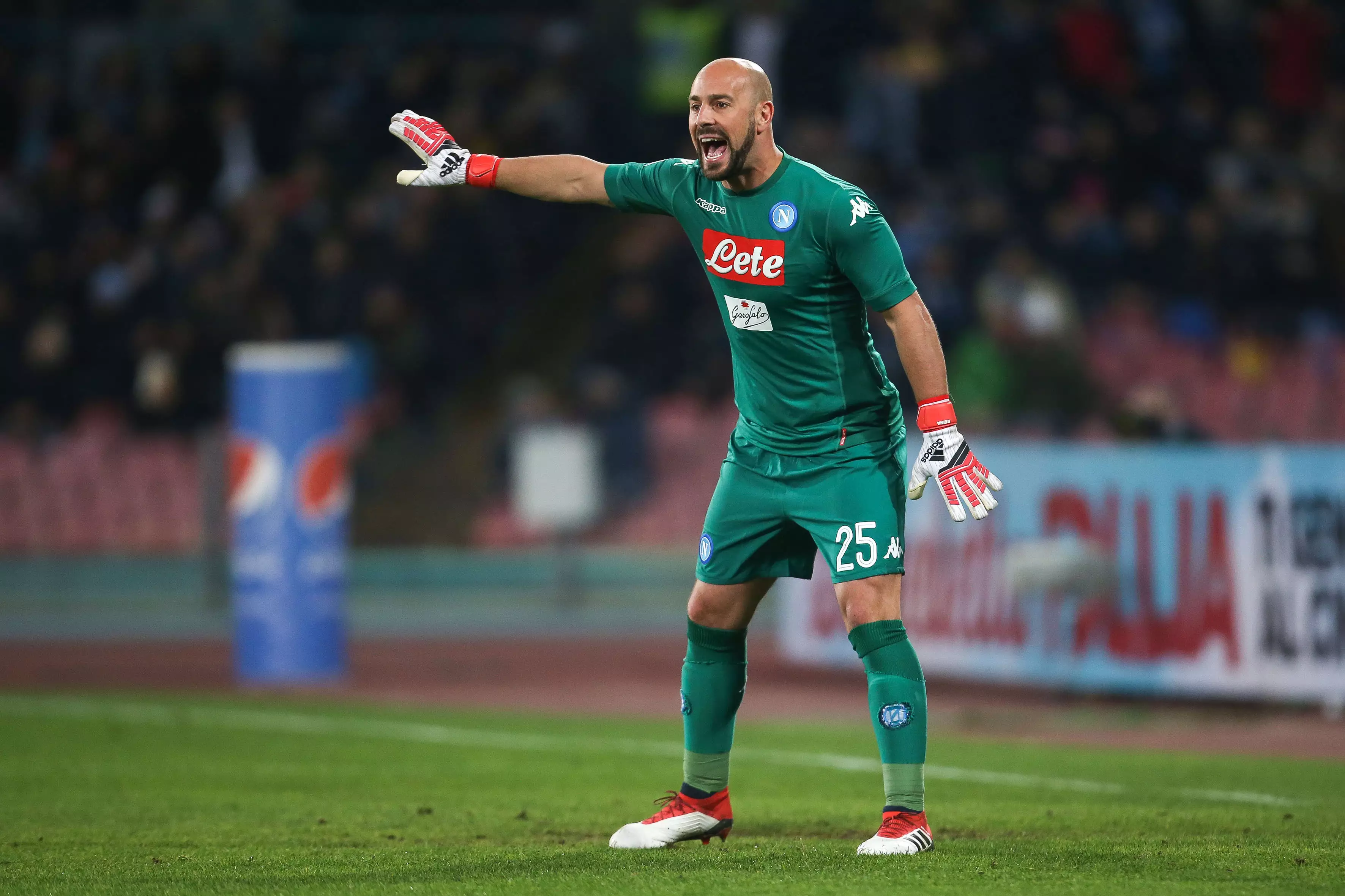 Former Reds keeper Reina could have a say on their potential keeper of the future. Image: PA Images