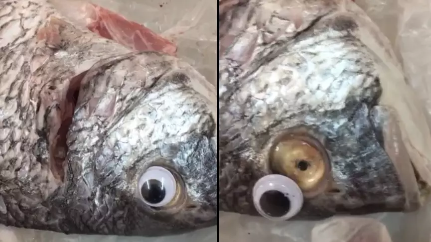 Store 'Closed Down' For Putting Googly Eyes On Fish To Make Them Look Fresher