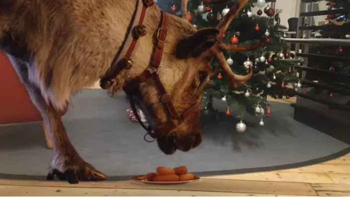 Parents Can Record Rudolph Eating Carrots In Their Home Thanks To Free App
