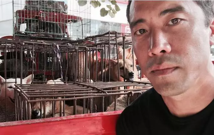 Animal Welfare Activist Saves 1000 Dogs From Yulin Dog Meat Festival