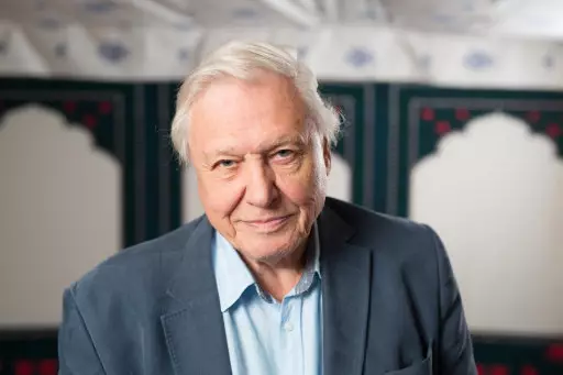 David Attenborough: A National Treasure And Your Granddad All Rolled Into One